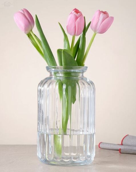 Ваза для цветов H23 см Ботаника Ваза для цветов H23 см Ботаника