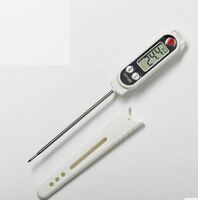 Термометр электронный -50+300 ° в чехле