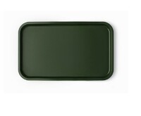 Поднос столовый 52,5*32,5 см зеленый поверхность шагрень MG