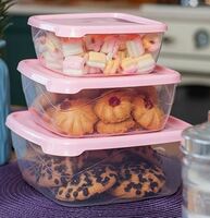 Набор контейнеров 3 шт 0,9+1,5,+2,5л 