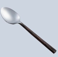 Ложка столовая 180 TRIBAL нерж.сталь B2,5 мм L220 мм МАСО